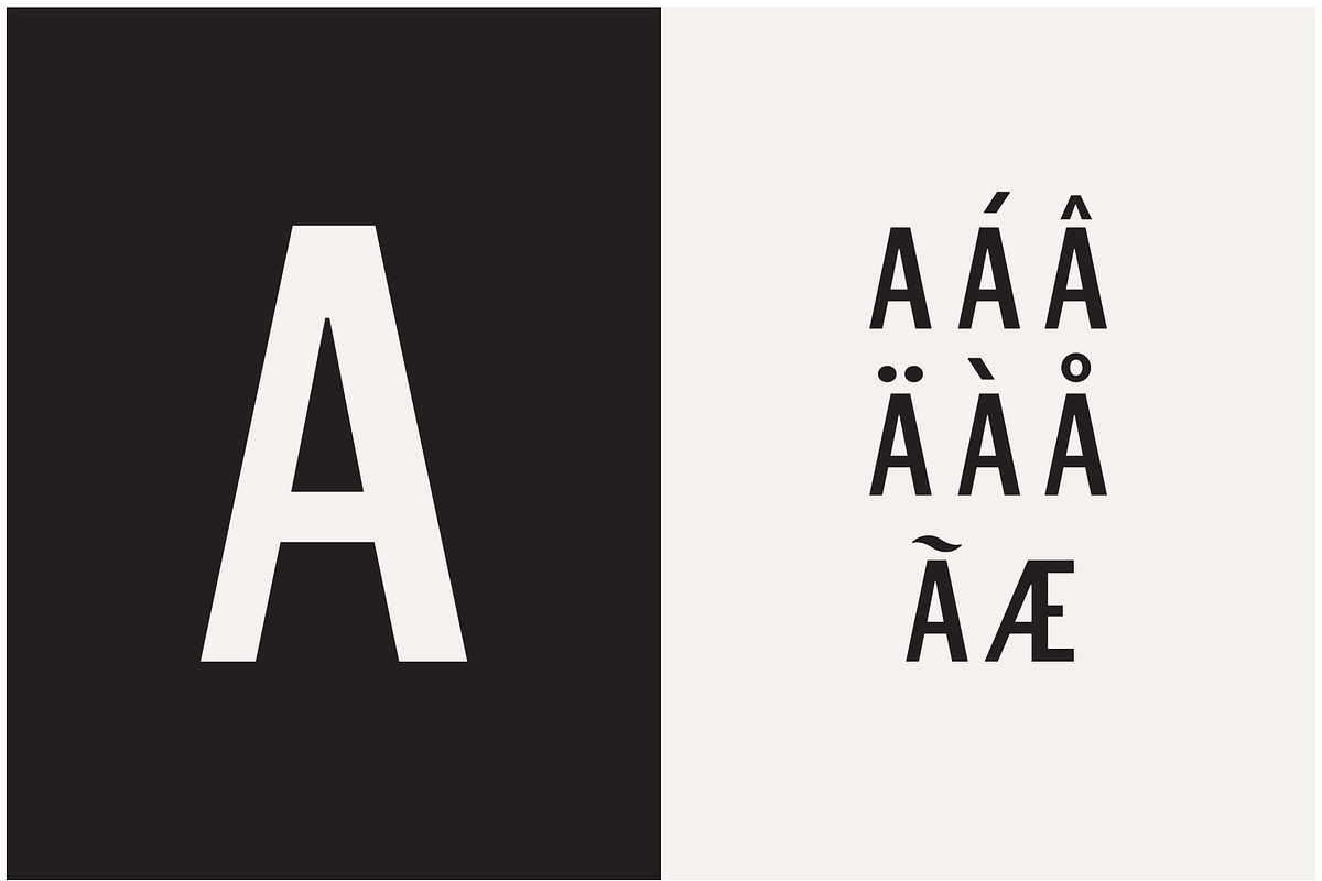 Winston Sans Typeface preview 5