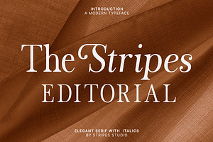 The Stripes Editorial + Italics, a Serif Font by Stripes Studio