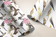 Cockatiel Birds Watercolor, an Animal Illustration by CreativeValuation (Thumbnail 15 of 15)