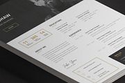 Gemini Resume Template, a Resume Template by Nina Shaw (Thumbnail 7 of 9)