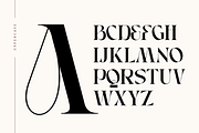 Faghe Modern - Elegant Logo Font, a Serif Font by Nirmana Visual (Thumbnail 4 of 10)