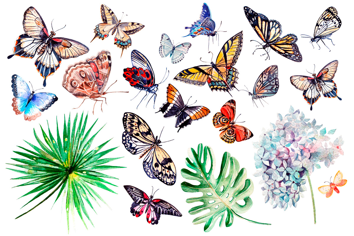 Beautiful watercolor butterflies, an Object Graphic by Knopazyzy (Photo 2 of 5)