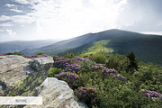 Majestic Landscape Lightroom Presets, a Plug-in Add-On by FixThePhoto (Thumbnail 26 of 33)