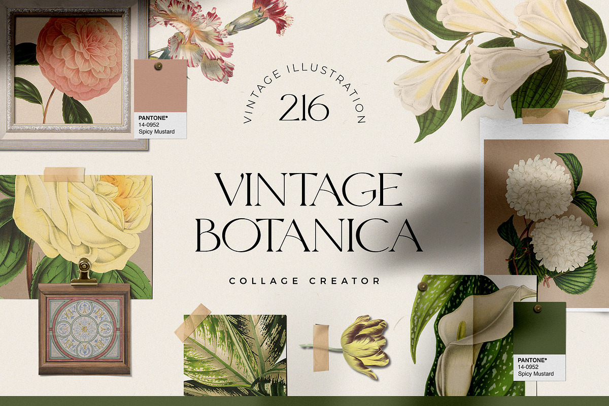 Vintage Botanica | Collage Creator, an Object Graphic by Leleka.Store (Photo 1 of 15)