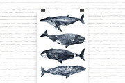 In love with watercolor Ocean, an Animal Illustration by KatBranchArt (Thumbnail 5 of 7)
