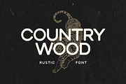 Country Wood Rustic Elegant Font, a Sans Serif Font by UICreative (Thumbnail 1 of 13)