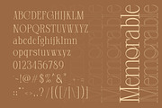 Closed Memory Nostalgic Editorial, a Serif Font by Lettertype Studio (Thumbnail 6 of 16)