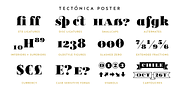 Tectónica, a Serif Font by Untype (Thumbnail 10 of 14)