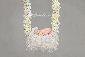 Digital Backdrop Newborn Photography