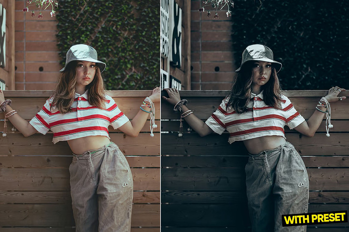 Mood Presets for Lightroom, a Preset Add-On by Hubzway (Photo 5 of 5)