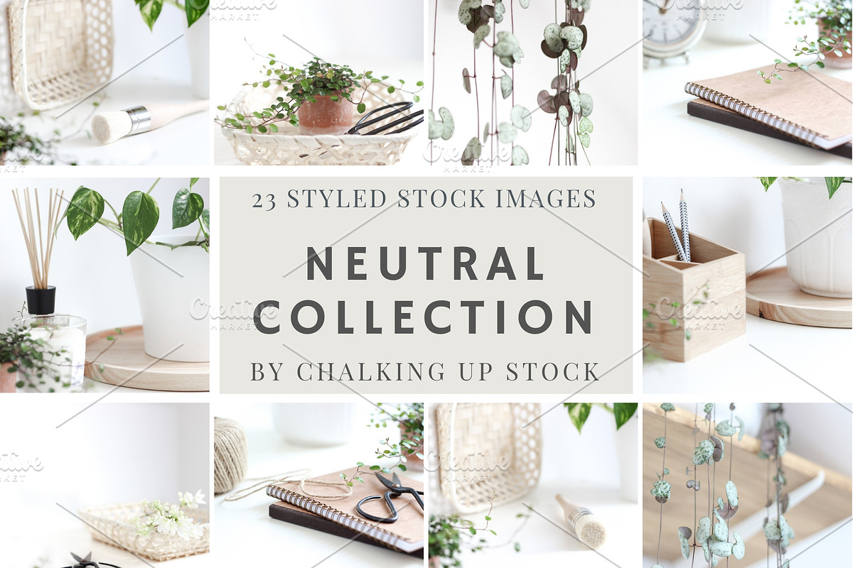 Neutral Collection | Styled Stock, a Business Photo by Chalking Up Stock (Photo 1 of 25)