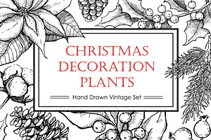 Hand Drawn Christmas Plants.