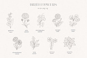 Birth-Flowers. Watercolor & Line Art, a Decorative Illustration by Designwork (Thumbnail 10 of 14)