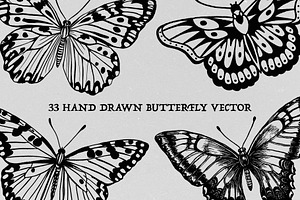 Hand Drawn Butterfly Vector, an Animal Illustration by Alternate Studio