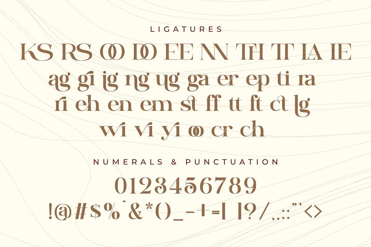 Dalgena | An Elegant Display Serif, a Serif Font by Andrimada Creative (Photo 13 of 13)