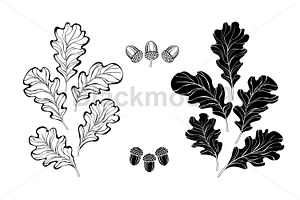 Monochrome oak leaves, a Decorative Illustration by blackmoon9