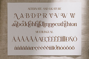 Victoshe Ligature Serif Font