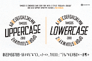 Quente & Tamigos  - Script Sans Font, a Script Font by dexsarharryfonts (Thumbnail 8 of 13)