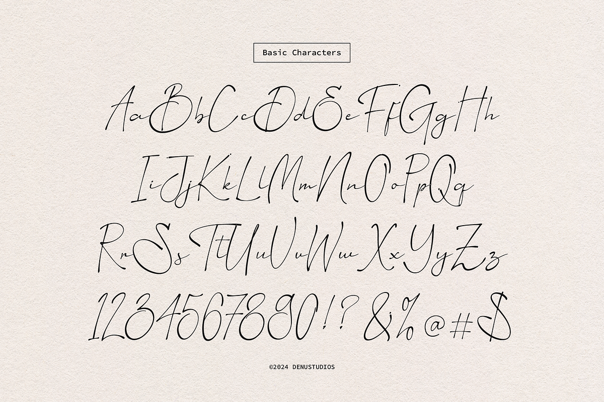 Aesallyn | Classic Signature Font, a Script Font by Denustudios (Photo 11 of 13)