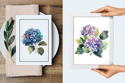 Hydrangea clipart, blue watercolor, a Decorative Illustration by ElenazlataArt (Thumbnail 7 of 8)