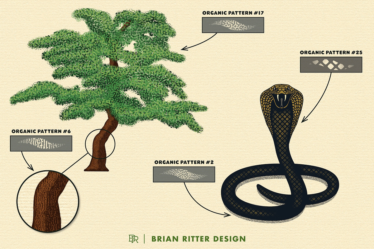 Organic Toolkit, a Brush Add-On by Brian Ritter Design (Photo 3 of 13)