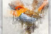 SplatterWatercolor2 Photoshop Action, an Action Add-On by GorynArt (Thumbnail 25 of 27)