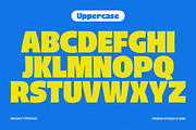 Regain - Bold Display Font, a Sans Serif Font by Pixesia Studio (Thumbnail 11 of 16)