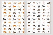 Domestic longhair cat, an Animal Illustration by pet design shop (Thumbnail 6 of 6)
