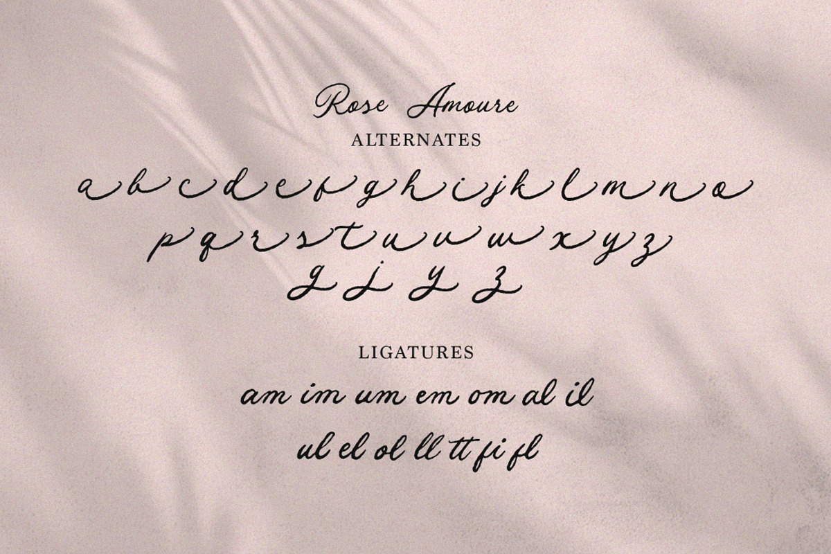 Rose Amoure - Beauty Script, a Script Font by ErgibiStudio (Photo 9 of 10)