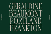 TAN-BRYDONE, a Font by TanType (Thumbnail 13 of 16)