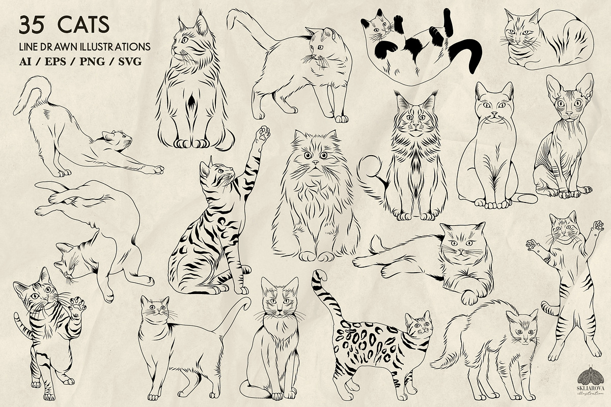 Cats Line Art + Procreate, an Animal Illustration by Skliarova (Photo 3 of 3)