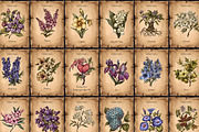 Poison Garden Witchcraft Clipart, an Object Illustration by Belusuab (Thumbnail 4 of 16)