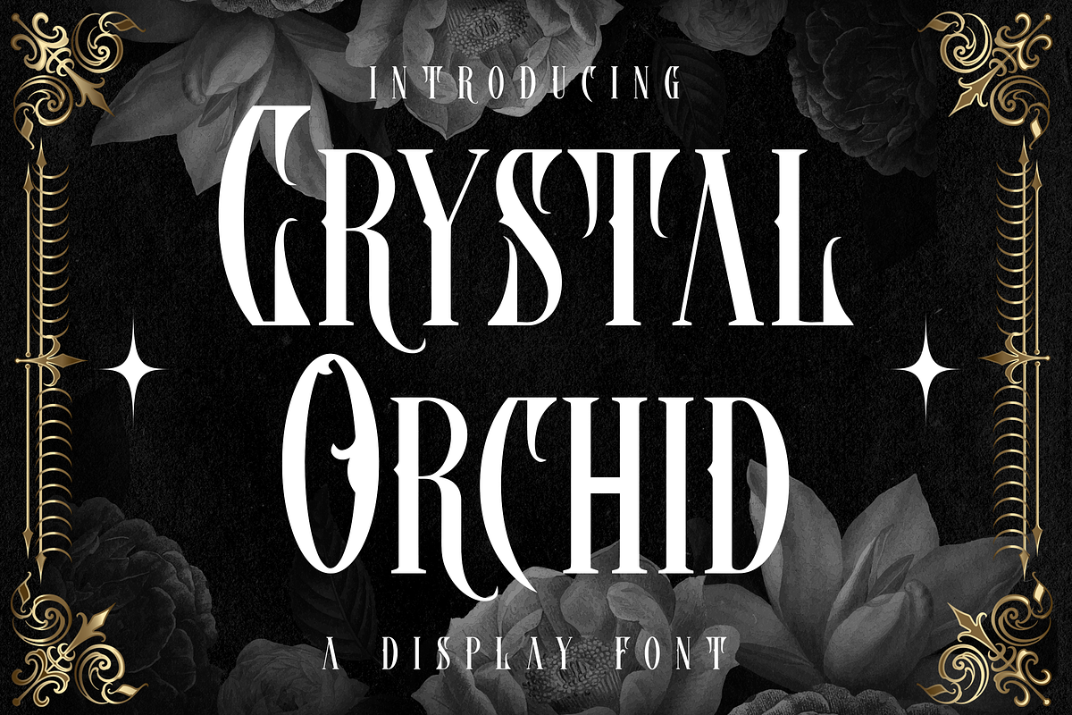 Crystal Orchid Display Blackletter, a Blackletter Font by dansdesign (Photo 1 of 6)