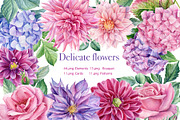 Delicate flowers, a Decorative Illustration by Hanna Hryharenka (Thumbnail 13 of 13)