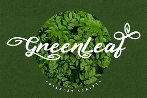 Green Leaf - Display Script