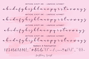 Anything Script || 8 Fonts, a Script Font by Aldedesign (Thumbnail 16 of 17)