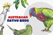 Australian native birds, an Illustration by FITALARTSNEDIGI (Thumbnail 5 of 10)
