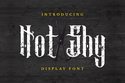 NotShy Font, a Serif Font by Haws.std (Thumbnail 1 of 5)