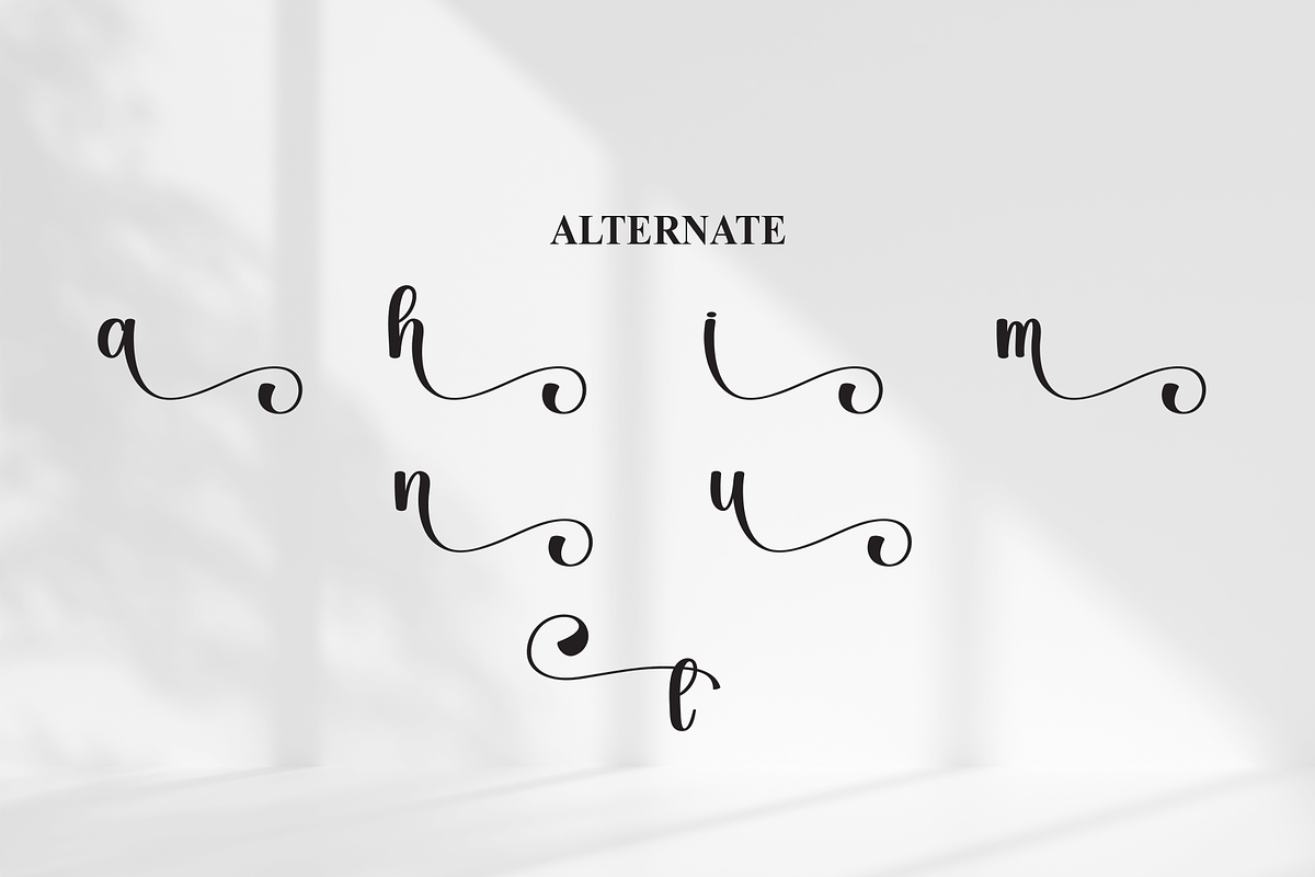 Alphabet | Script Font, a Handwritten Font by Scratchones (Photo 8 of 9)