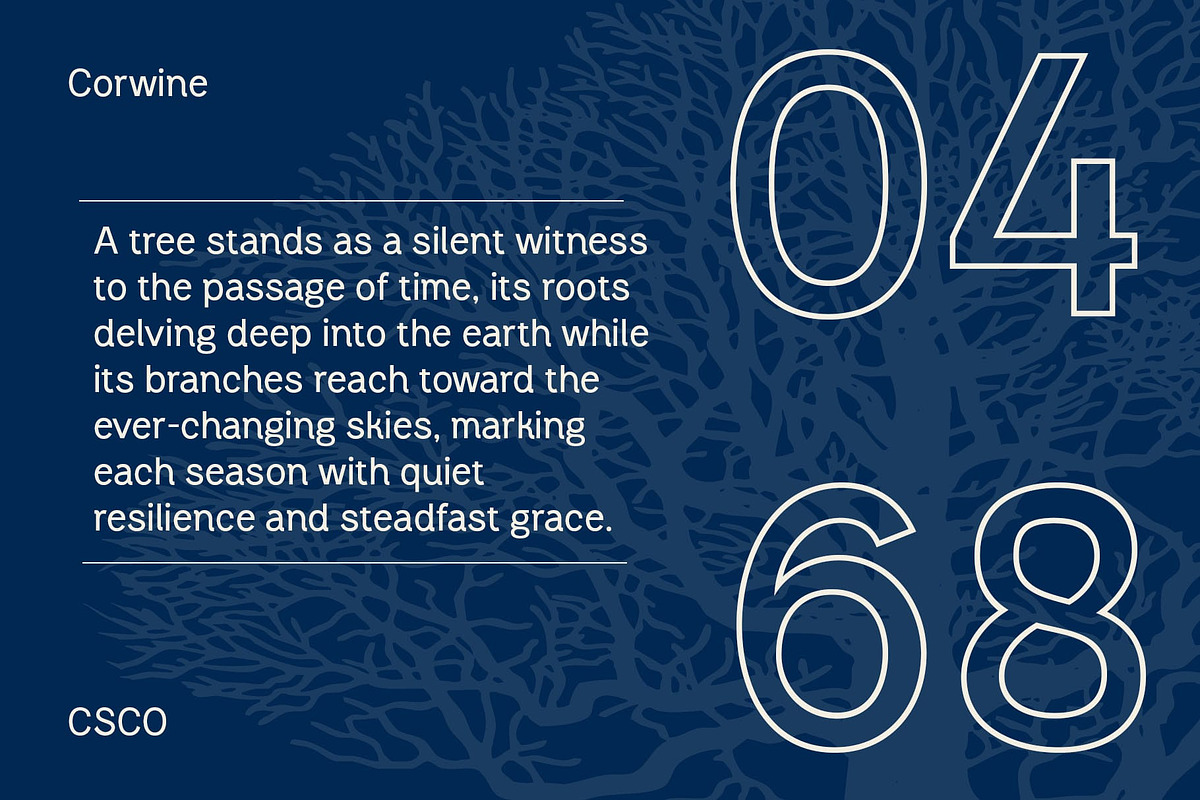 Corwine 3D, a Sans Serif Font by Craft Supply Co. (Photo 6 of 8)