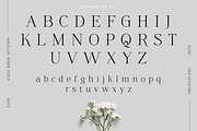 Askilon - Beautiful Serif Font, a Serif Font by Sronstudio (Thumbnail 11 of 13)