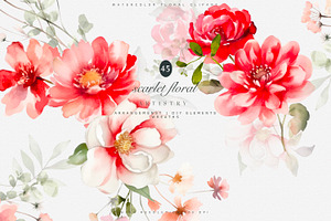 Watercolor Scarlet Flowers Clipart, a Decorative Illustration by Patishop Art