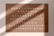 Branding Aliskaje Modern Serif Font, a Serif Font by Storytype Studio (Thumbnail 8 of 9)