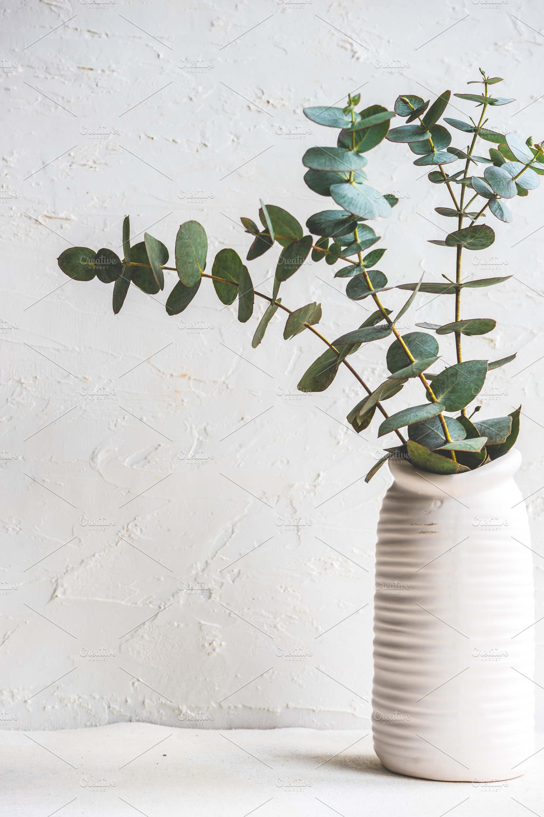 White interior concept with eucalyptus, a Nature Photo by Anna Bogush