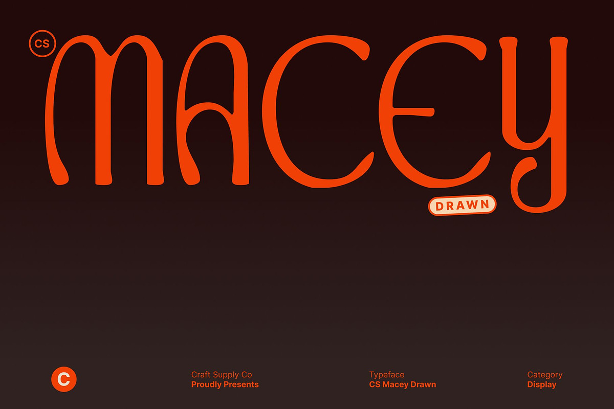 CS Macey Drawn, a Serif Font by Craft Supply Co. (Photo 1 of 8)