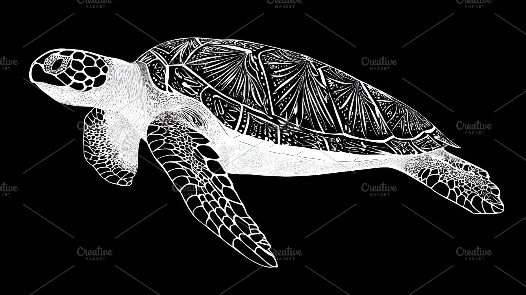 Turtle swims in dark water, a Photo by Beautiful things