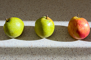 Row Of Fruit High Contrast