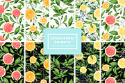 Watercolor Citrus Set, an Object Graphic by Kotulska (Thumbnail 3 of 4)