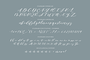 Sapphire Script Standard Version, a Handwritten Font by Design by Laney (Thumbnail 2 of 13)