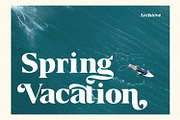 Borth Tropical Serif, a Serif Font by Black Junst (Thumbnail 9 of 13)